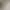 درباره ریما دشت پاسارگاد